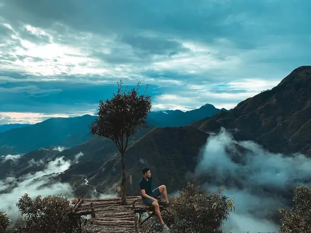 Cây Cô Đơn Ô Quy Hồ: Đặc Điểm, Công Dụng Và Cách Chăm Sóc Hiệu Quả
