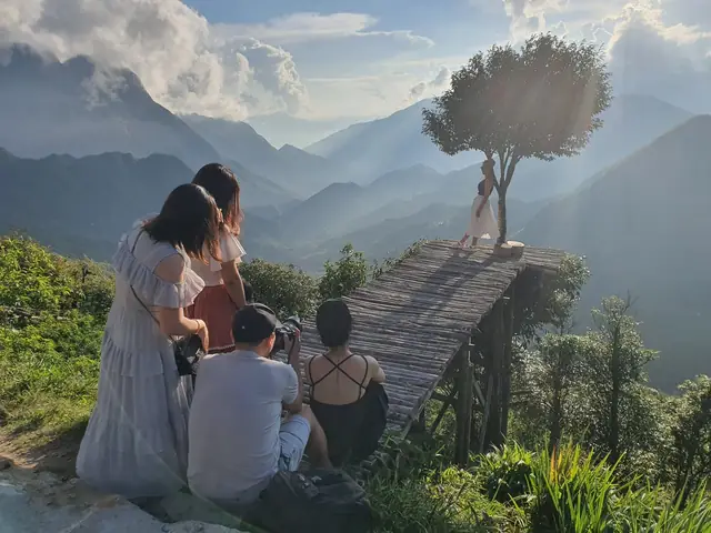 Cây Cô Đơn Ô Quy Hồ: Đặc Điểm, Công Dụng Và Cách Chăm Sóc Hiệu Quả