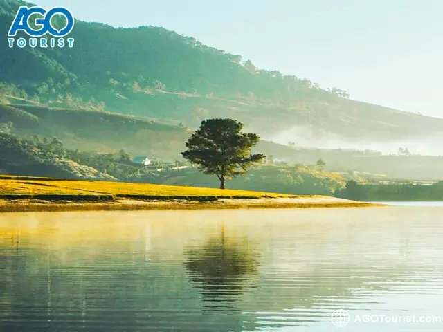 Cách Đến Cây Thông Cô Đơn Đà Lạt: Vị Trí, Lộ Trình, Điểm Check‑in Cách Đến Cây Thông Cô Đơn Đà Lạt: Vị Trí, Lộ Trình, Điểm Check‑in