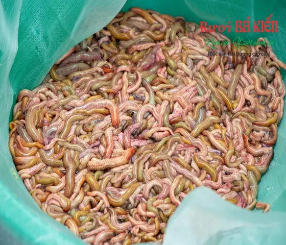 Khám Phá 12 Quán Chả Rươi Ngon Nhất Hà Nội Cho Tín Đồ Ẩm Thực