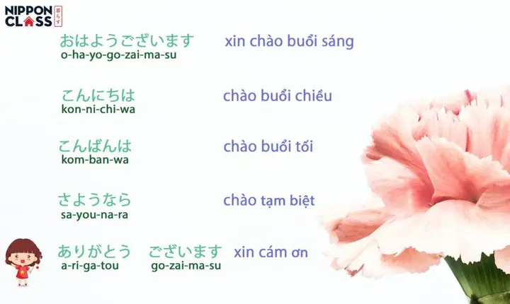Hướng Dẫn Chào Hỏi Tiếng Nhật Cơ Bản Cho Du Khách