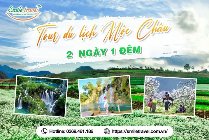 Chi Phí Du Lịch Mộc Châu: Hướng Dẫn Chi Tiết 2026