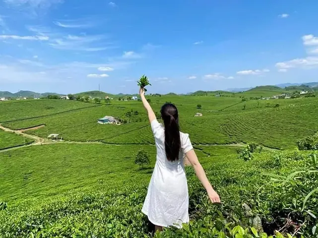 Chi Phí Du Lịch Mộc Châu: Hướng Dẫn Chi Tiết 2026