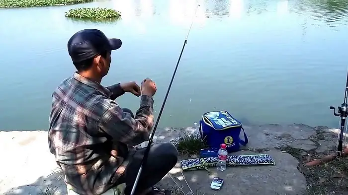 Chỗ Câu Cá Ở Đà Nẵng: 10 Địa Điểm Và Kinh Nghiệm Thực Tế