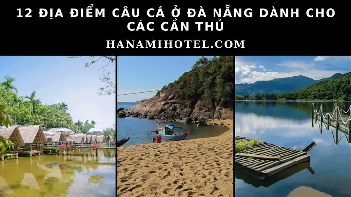 Chỗ Câu Cá Ở Đà Nẵng: 10 Địa Điểm Và Kinh Nghiệm Thực Tế