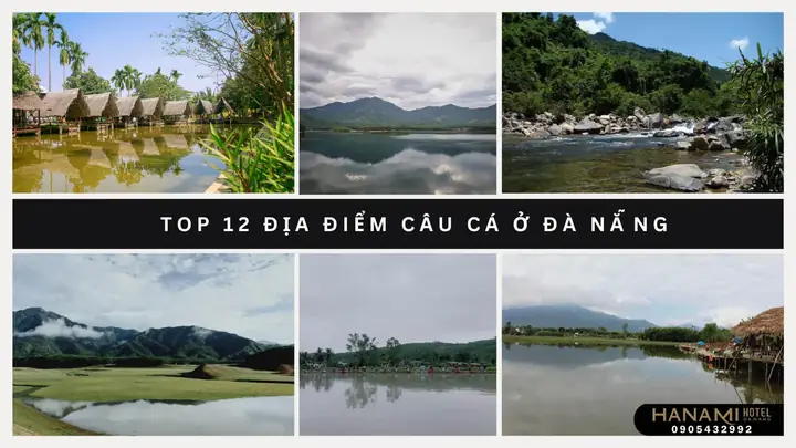 Chỗ Câu Cá Ở Đà Nẵng: 10 Địa Điểm Và Kinh Nghiệm Thực Tế