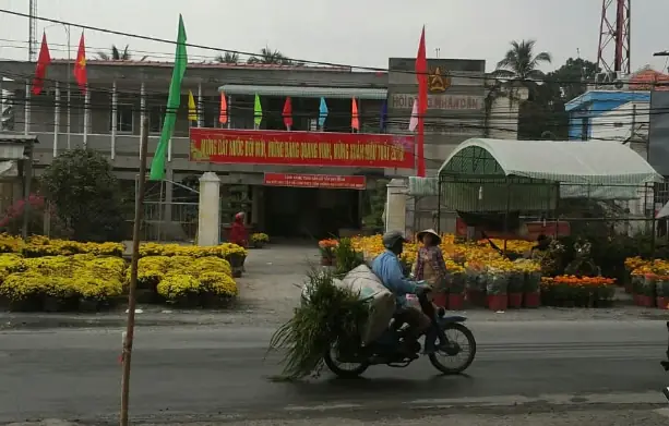 Chợ Cầu Quang Trung Gò Vấp Là Gì? Hướng Dẫn Khám Phá & Trải Nghiệm Thực Tế