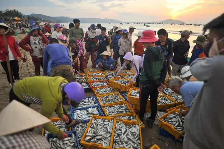 Làng Chài Mũi Né: Khám Phá Vẻ Đẹp Nguyên Sơ Biển Phan Thiết