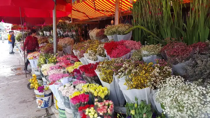 Chợ Hoa Hà Nội: 9 Địa Điểm Đẹp Nhất Để Khám Phá Mùa Xuân Chợ Hoa Hà Nội: 9 Địa Điểm Đẹp Nhất Để Khám Phá Mùa Xuân