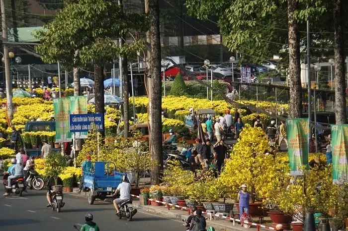 Chợ Hoa Lớn Nhất Sài Gòn Là Gì? Địa Chỉ, Lịch Sử & Kinh Nghiệm Tham Quan