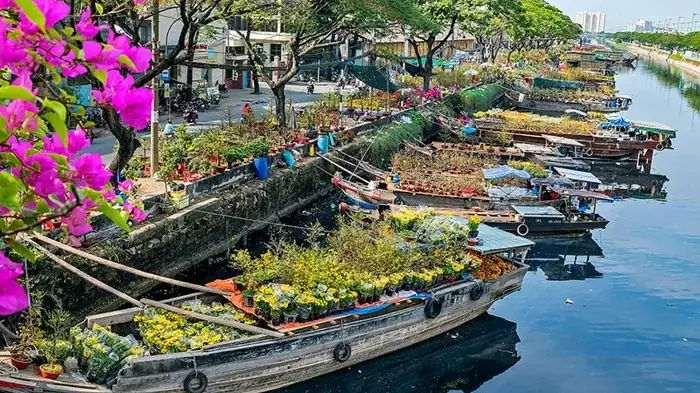 Chợ Hoa Lớn Nhất Sài Gòn Là Gì? Địa Chỉ, Lịch Sử & Kinh Nghiệm Tham Quan