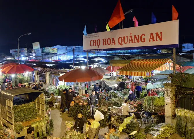 Khám Phá Chợ Hoa Quảng Bá: Hướng Dẫn Tham Quan Và Mua Sắm