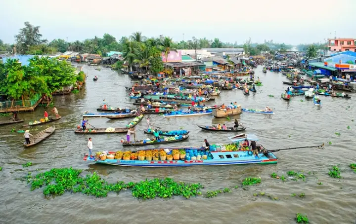 Khám Phá Chợ Nổi Ngã Năm – Điểm Dừng Chân Tuyệt Vời Cho Du Khách Miền Tây