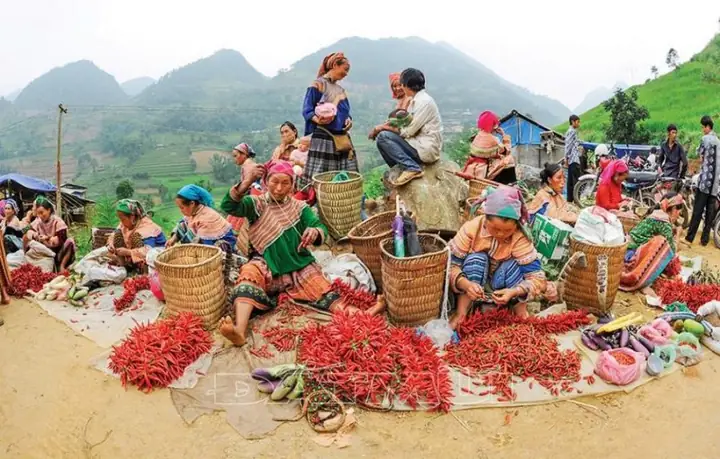 Chợ Phiên Bắc Hà Lào Cai: Hành Trình Khám Phá Trái Tim Văn Hóa Tây Bắc Chợ Phiên Bắc Hà Lào Cai: Hành Trình Khám Phá Trái Tim Văn Hóa Tây Bắc
