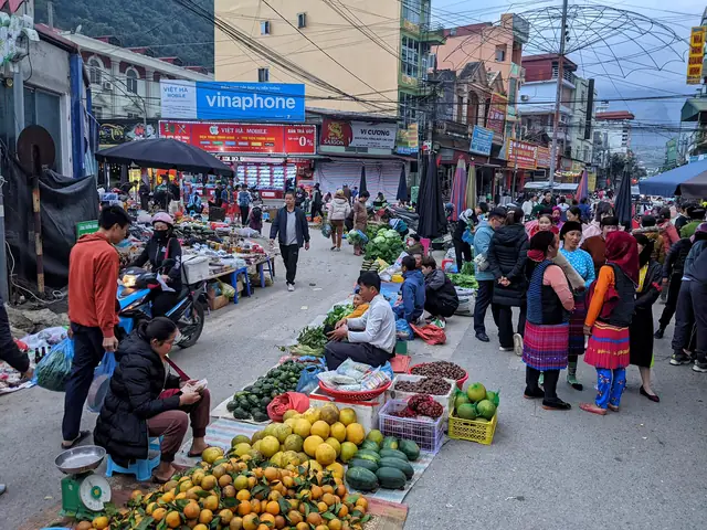 Chợ Phiên Mèo Vạc Ở Đâu? Hướng Dẫn Chi Tiết Cho Người Yêu Thú Cưng