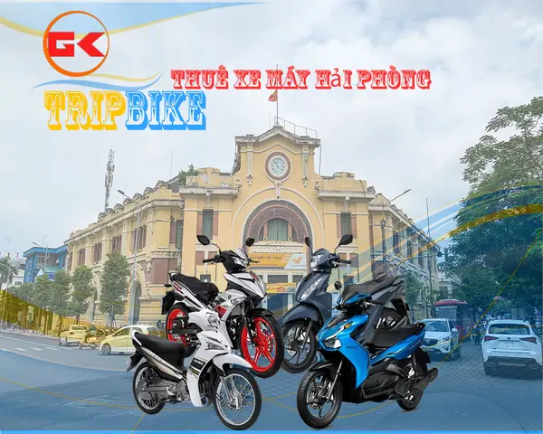 Khám Phá 7 Địa Điểm Thuê Xe Máy Hải Phòng Giá Rẻ Và Giao Tận Nơi