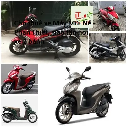 Thuê Xe Máy Phan Thiết: 15 Địa Chỉ Uy Tín, Giá Rẻ