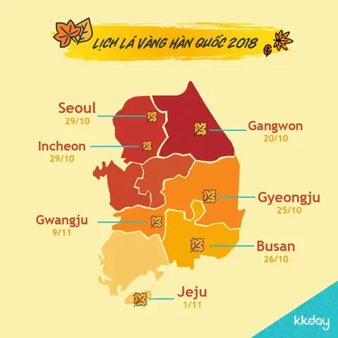 Cẩm Nang Chi Tiết: Chơi Gì Ở Busan Hàn Quốc – Trải Nghiệm Đa Dạng Từ Biển Đến Núi