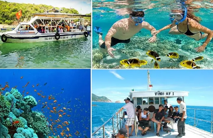 Chơi Gì Ở Vịnh Vĩnh Hy? Trải Nghiệm Và Hoạt Động Không Thể Bỏ Quên