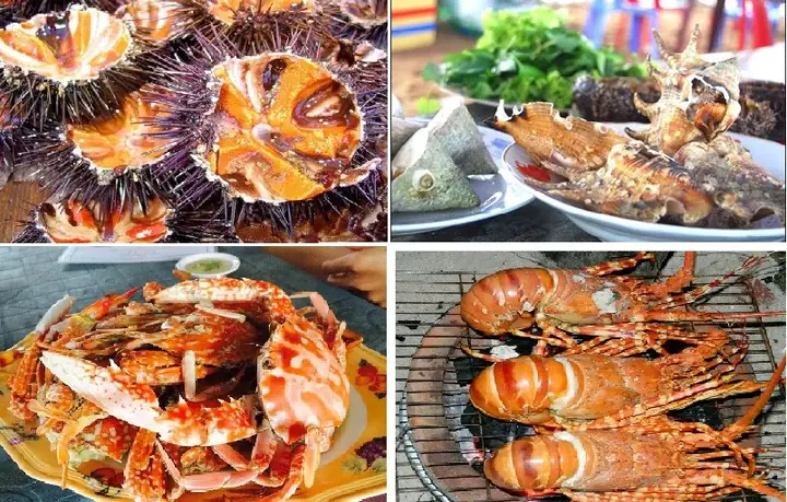 Chơi Gì Ở Vịnh Vĩnh Hy? Trải Nghiệm Và Hoạt Động Không Thể Bỏ Quên