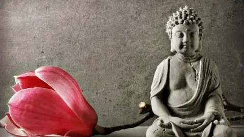 Đánh Giá Chùa Long Phước Đông Hải Bạc Liêu: Điểm Đến Tâm Linh Giữa Vùng Đất Mới