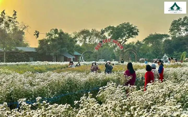 Hướng Dẫn Chụp Ảnh Bãi Đá Sông Hồng: Kỹ Thuật Và Mẹo