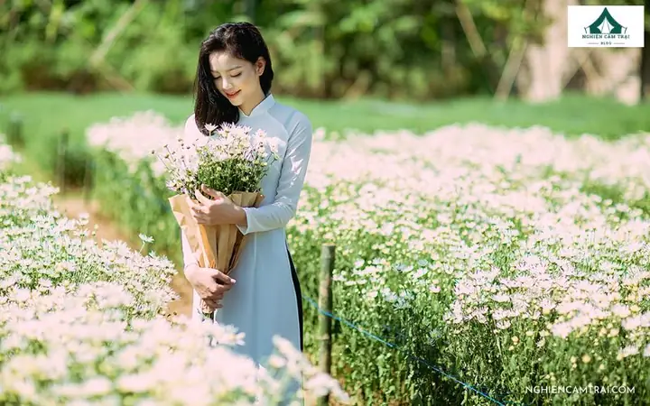 Hướng Dẫn Chụp Ảnh Bãi Đá Sông Hồng: Kỹ Thuật Và Mẹo