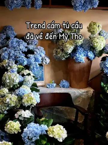 Cẩm Nang Chụp Ảnh Với Hoa Cẩm Tú Cầu Hoàn Hảo