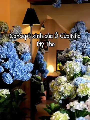 Cẩm Nang Chụp Ảnh Với Hoa Cẩm Tú Cầu Hoàn Hảo