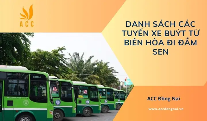 Hướng Dẫn Đi Xe Buýt Đến Đầm Sen: Lộ Trình, Giá Vé Và Kinh Nghiệm Thực Tế Hướng Dẫn Đi Xe Buýt Đến Đầm Sen: Lộ Trình, Giá Vé Và Kinh Nghiệm Thực Tế