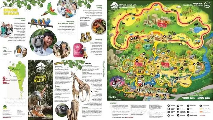 Có Nên Đi Safari Phú Quốc? Đánh Giá Chân Thực Từ Người Có Kinh Nghiệm