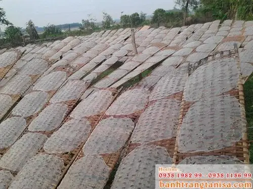 Top 5 Cơ Sở Bánh Tráng Tây Ninh Uy Tín Nhất: Đánh Giá Chi Tiết Top 5 Cơ Sở Bánh Tráng Tây Ninh Uy Tín Nhất: Đánh Giá Chi Tiết
