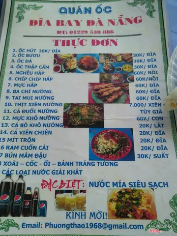 Cô Ta Ốc Hút Đĩa Bay: Giải Mã Hiện Tượng Lan Truyền Và Ý Nghĩa Thực Tế