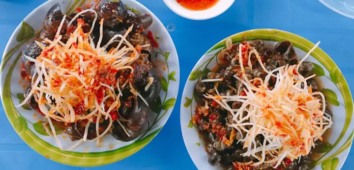 Cô Ta Ốc Hút Đĩa Bay: Giải Mã Hiện Tượng Lan Truyền Và Ý Nghĩa Thực Tế