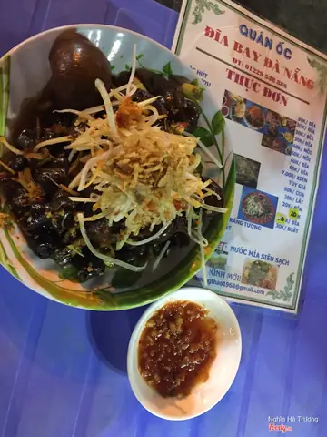 Cô Ta Ốc Hút Đĩa Bay: Giải Mã Hiện Tượng Lan Truyền Và Ý Nghĩa Thực Tế
