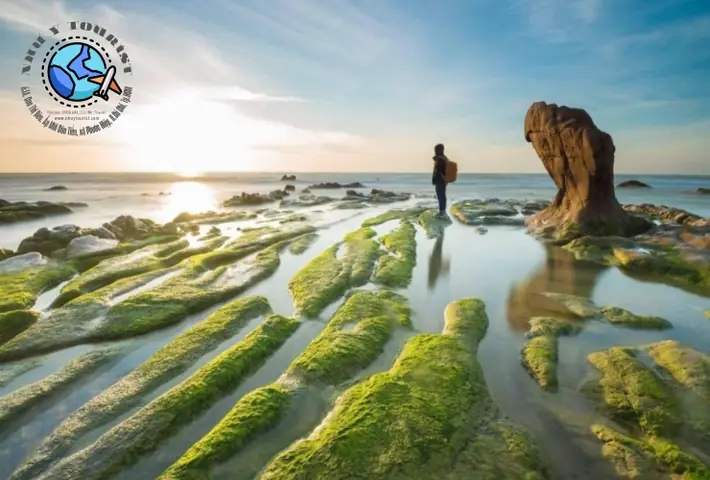 Cổ Thạch Thầy Thím Ở Đâu? Tìm Hiểu Địa Điểm Và Thông Tin Chi Tiết