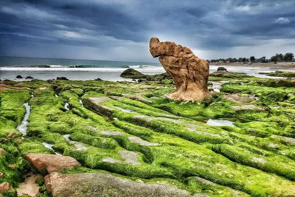 Cổ Thạch Thầy Thím Ở Đâu? Tìm Hiểu Địa Điểm Và Thông Tin Chi Tiết