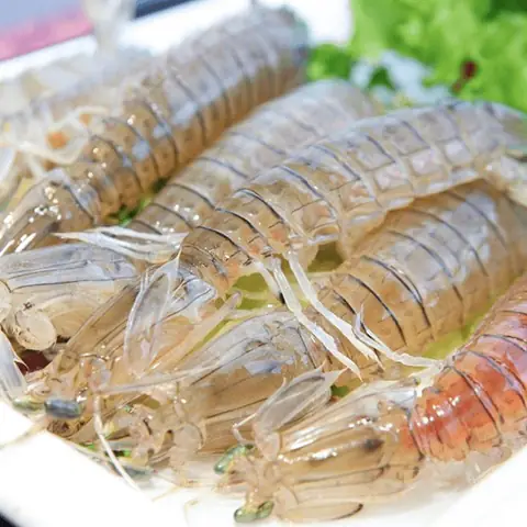 Bề Bề Là Con Gì? Tên Gọi, Đặc Điểm Và Món Ngon