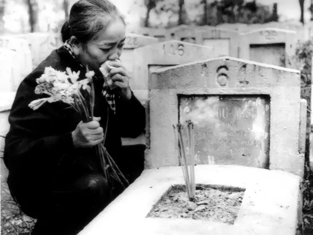 Con Của Bà Nguyễn Thị Định: Điểm Du Lịch Và Câu Chuyện Lịch Sử
