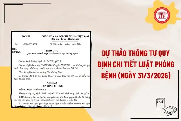 Tết Dương Lịch 2026 Là Thứ Mấy? Còn Mấy Ngày Nữa Đến Tết Dương Lịch 2026? Tết Dương Lịch 2026 Là Thứ Mấy? Còn Mấy Ngày Nữa Đến Tết Dương Lịch 2026?