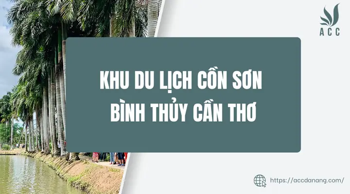Cồn Sơn Bình Thủy Cần Thơ: Điểm Đến Lý Tưởng Cho Trải Nghiệm Miệt Vườn Sông Nước