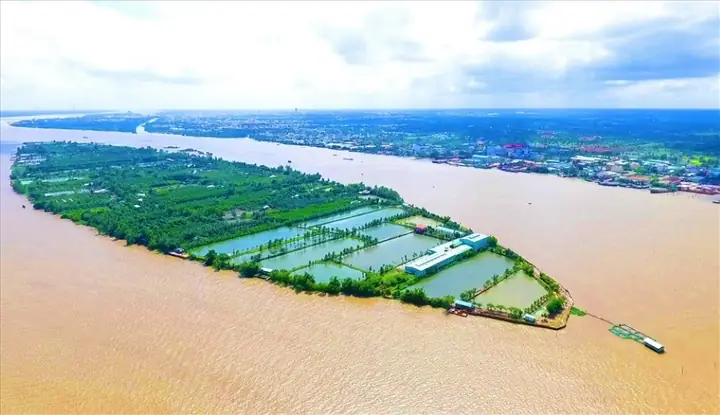 Cồn Sơn Bình Thủy Cần Thơ: Điểm Đến Lý Tưởng Cho Trải Nghiệm Miệt Vườn Sông Nước