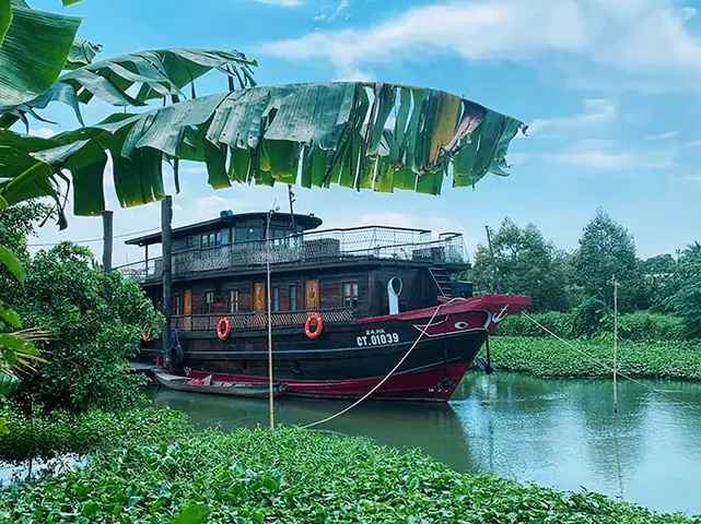 Cồn Sơn Bình Thủy Cần Thơ: Điểm Đến Lý Tưởng Cho Trải Nghiệm Miệt Vườn Sông Nước