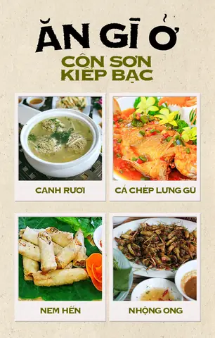 Côn Sơn Kiếp Bạc Có Gì? Tìm Hiểu Chi Tiết Về Thành Phần Và Công Dụng
