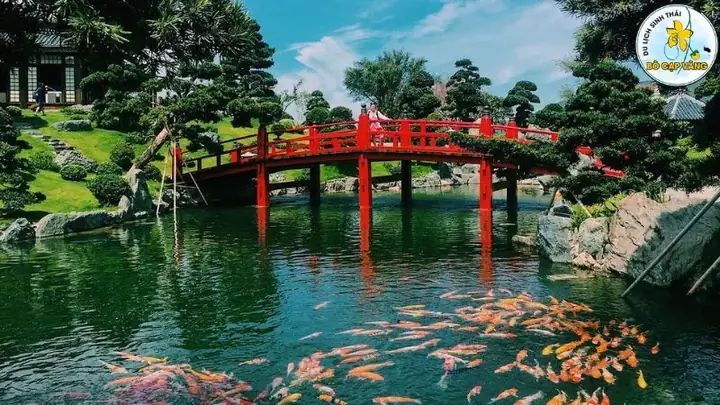 Công Viên Cá Koi Rin Rin Park: Hành Trình Khám Phá Văn Hóa Nhật Bản Giữa Lòng Sài Gòn