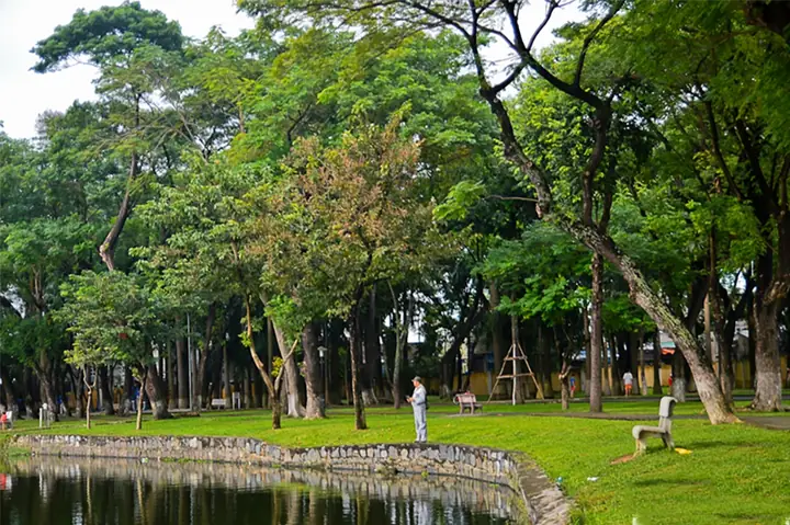 Công Viên Cây Xanh Đà Nẵng: Top Điểm Đến Xanh Mát Không Thể Bỏ Lỡ