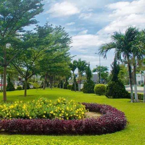 Công Viên Cây Xanh Đà Nẵng: Top Điểm Đến Xanh Mát Không Thể Bỏ Lỡ
