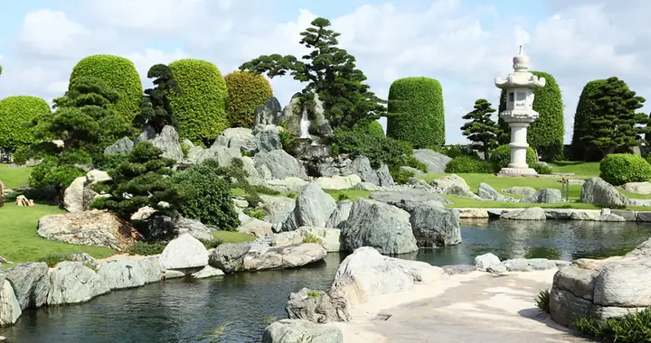 Công Viên Cá Koi Rin Rin Park: Trải Nghiệm Vườn Nhật