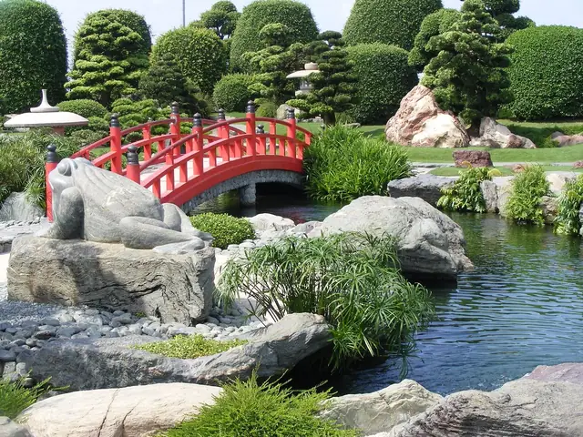 Công Viên Cá Koi Rin Rin Park: Trải Nghiệm Vườn Nhật