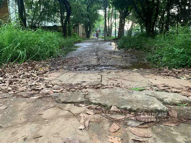 Đánh Giá Chi Tiết Công Viên Núi Thúy Ninh Bình: Trải Nghiệm Gì?